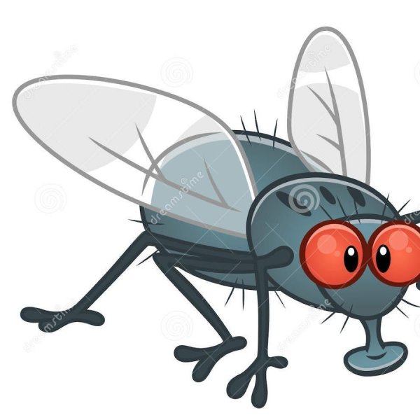 Муха мультяшный