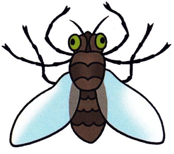 Смешная Муха
