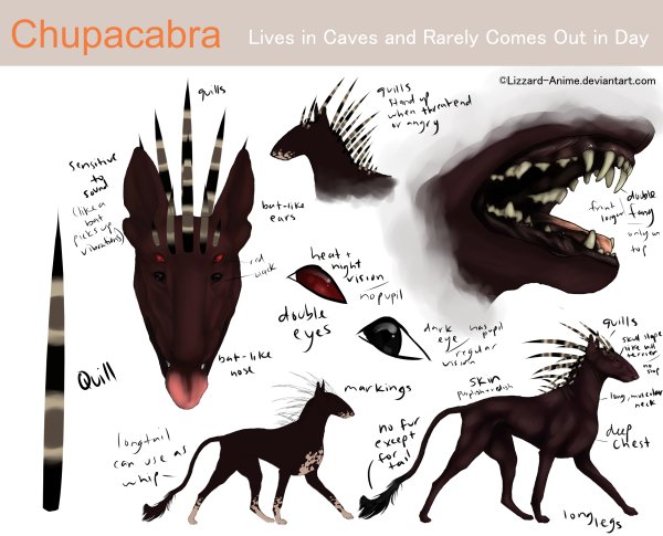 Чупакабра Мифические существа