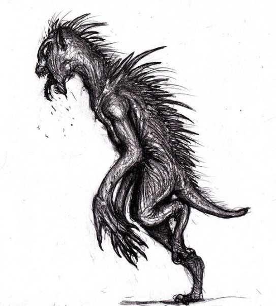 Чупакабра раскраска