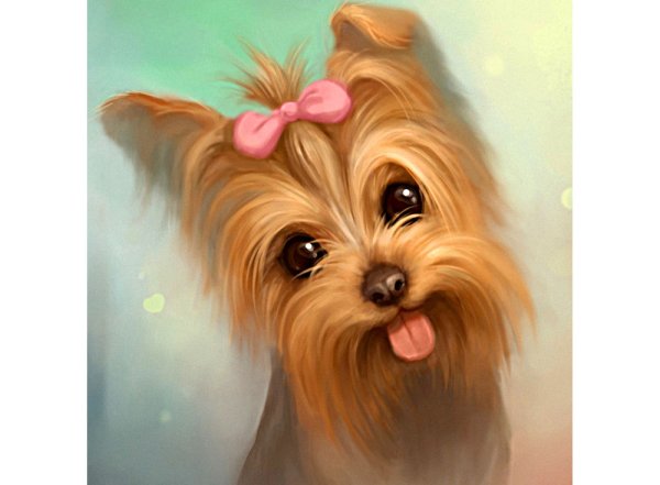 Алмазная мозаика Йорк