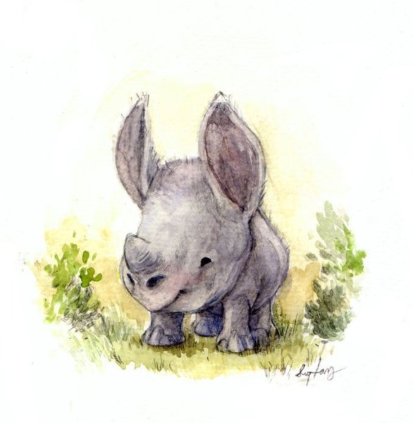 Носорожек картинка для детей