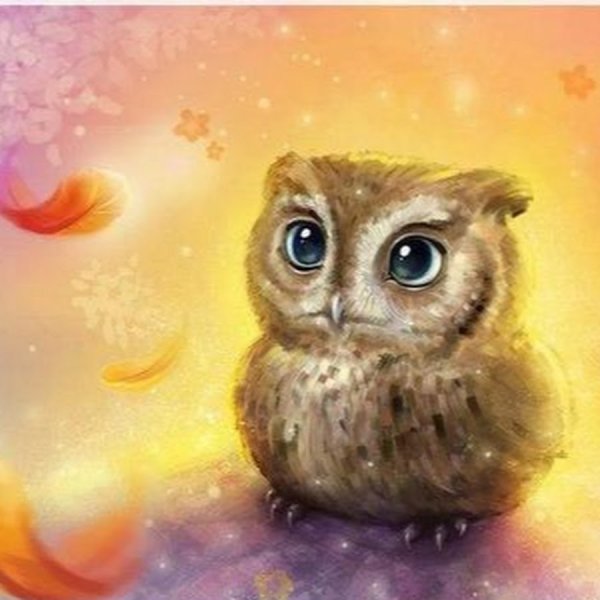 Милые Совушки