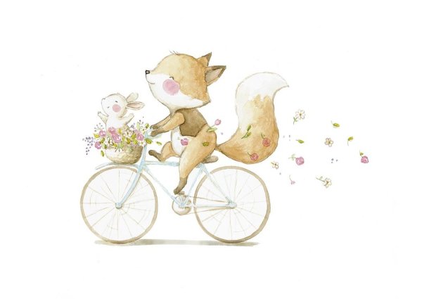 Аида Замора зайки