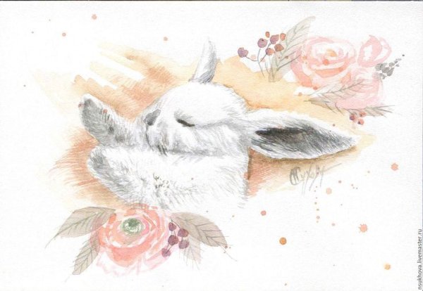 Аида Замора зайчик