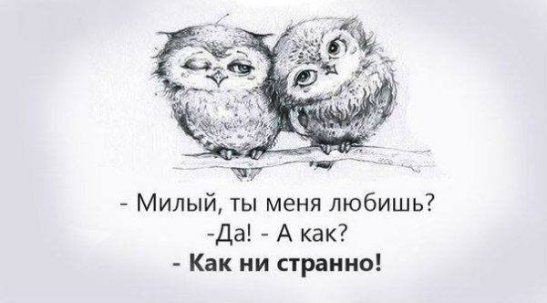 Милые цитаты