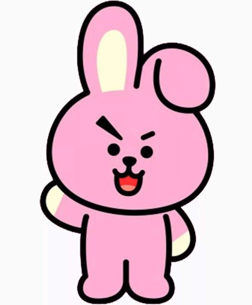 Bt21 cooky