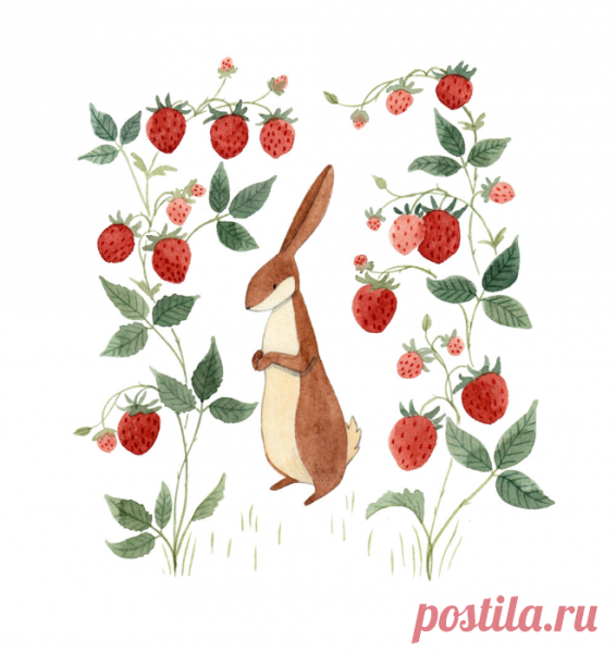 Клубничка рисунок акварелью