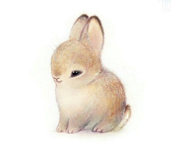 Милые мультяшные кролики