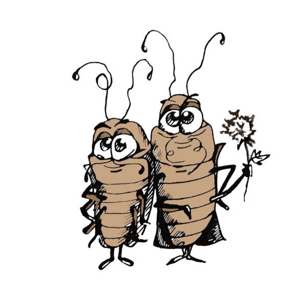 Тараканы мультяшные