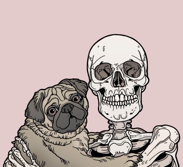 Милый череп