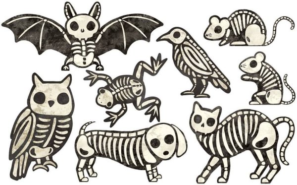 Милый скелет