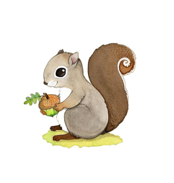 Милые белки мультяшные