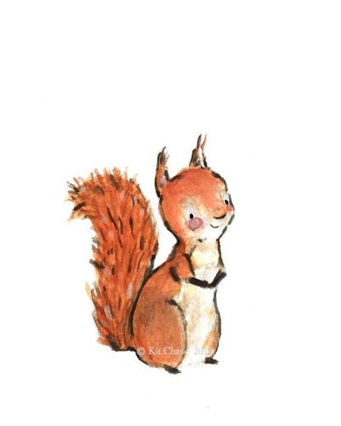 Рисунок милой белочки
