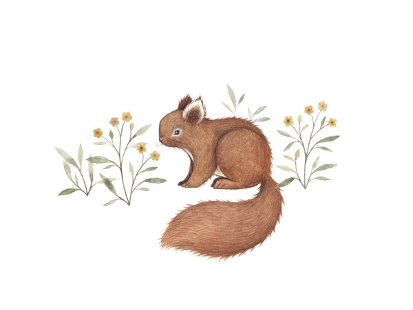 Иллюстрации милые белки