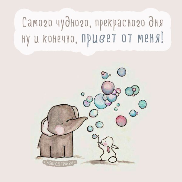 Милые цитаты