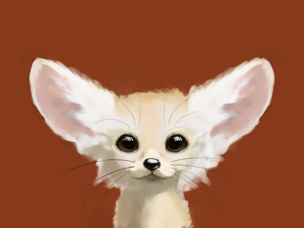 Фрилайн фенек