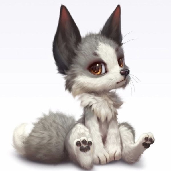 Фенек милый арт