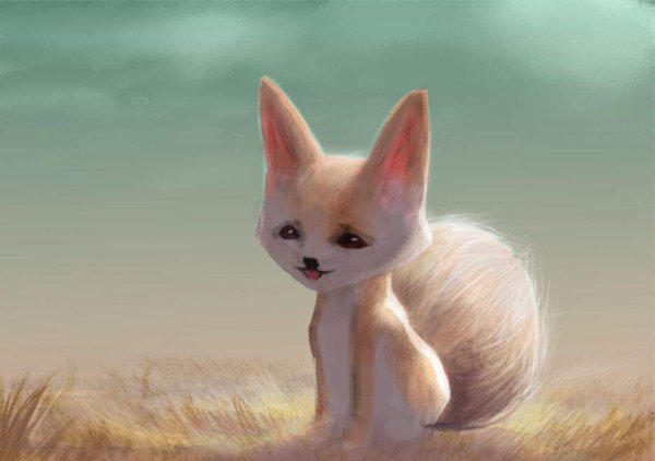 Поппи фенек