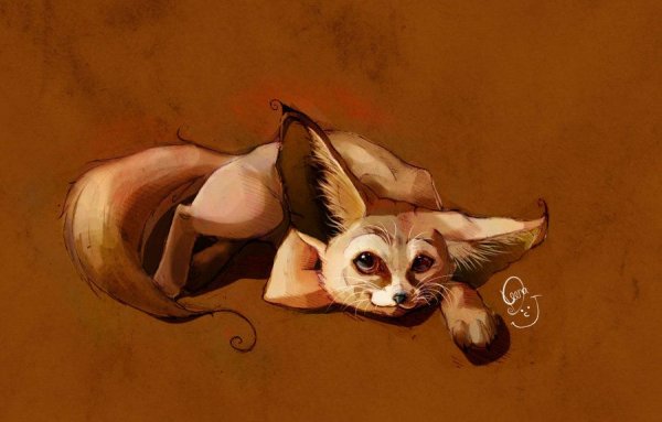 Лиса фенек арт