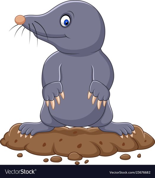 Крот Векторная Графика