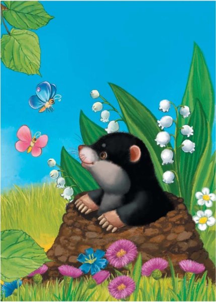 Крот рисунок