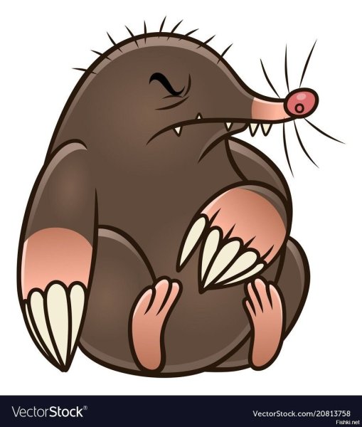 Крот рисунок