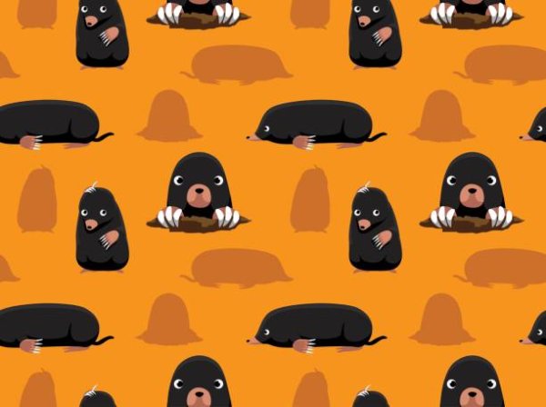 Кротик вектор