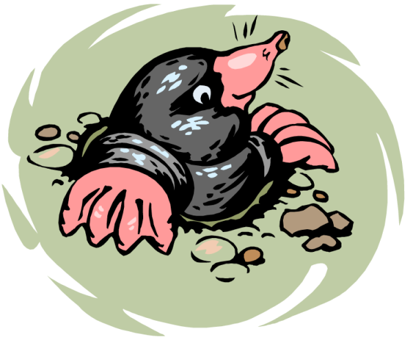 Крот на прозрачном фоне