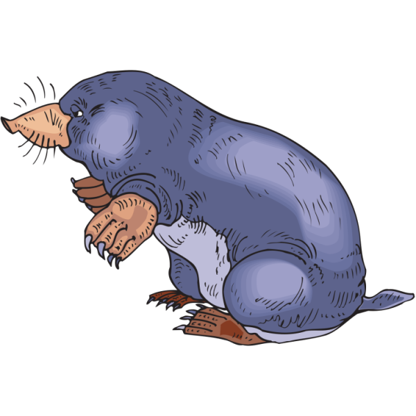 Крот на прозрачном фоне для фотошопа