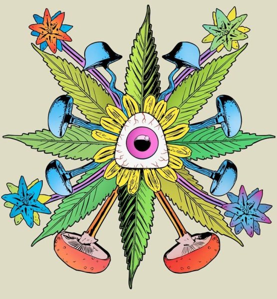 Психоделическая Графика грибы