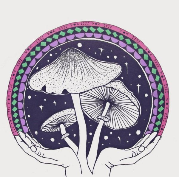 Грибы из пинтереста инди КИД