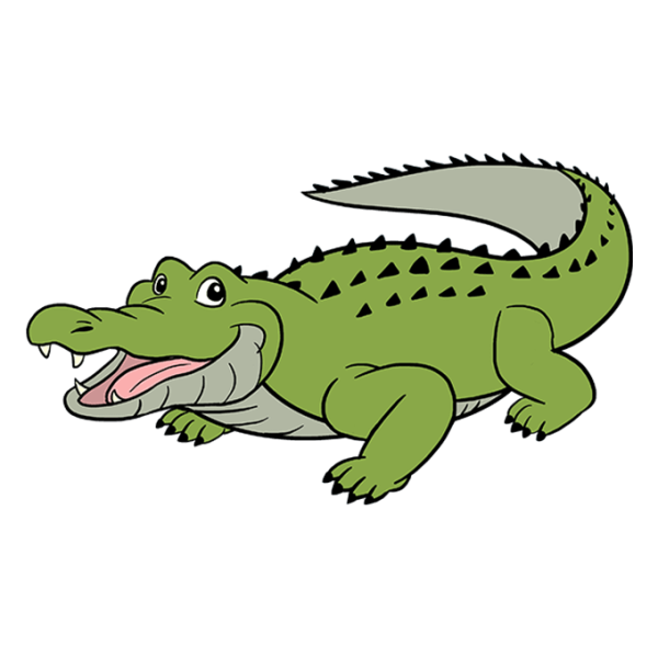 Alligator for Kids