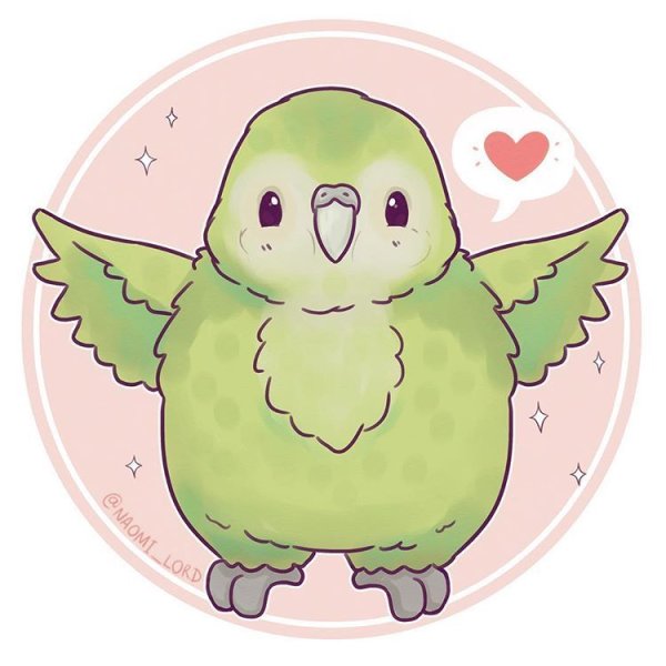 Naomi Lord попугай