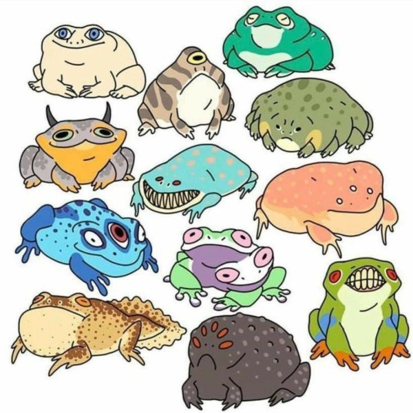 Лягушка инди КИД