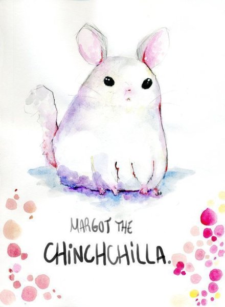 Шиншилла акварелью