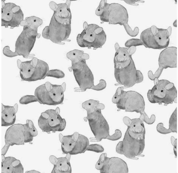 Наклейки шиншилла