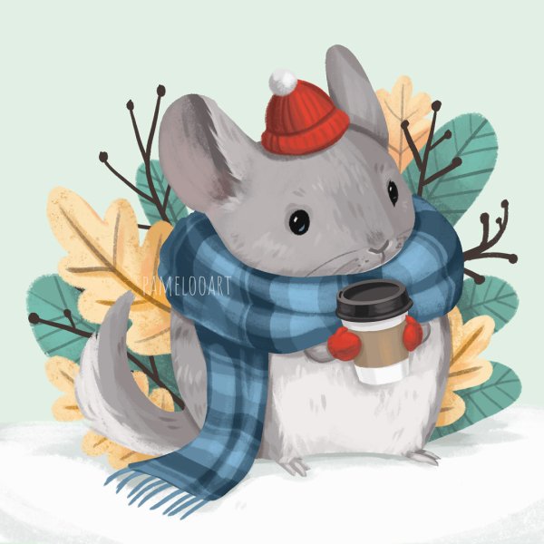 Мультяшные шиншиллы