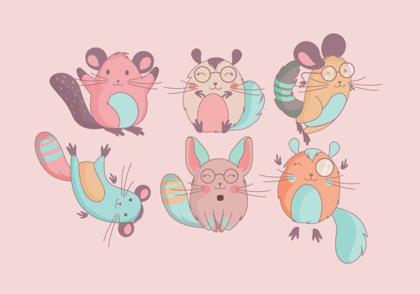 Шиншилла референс