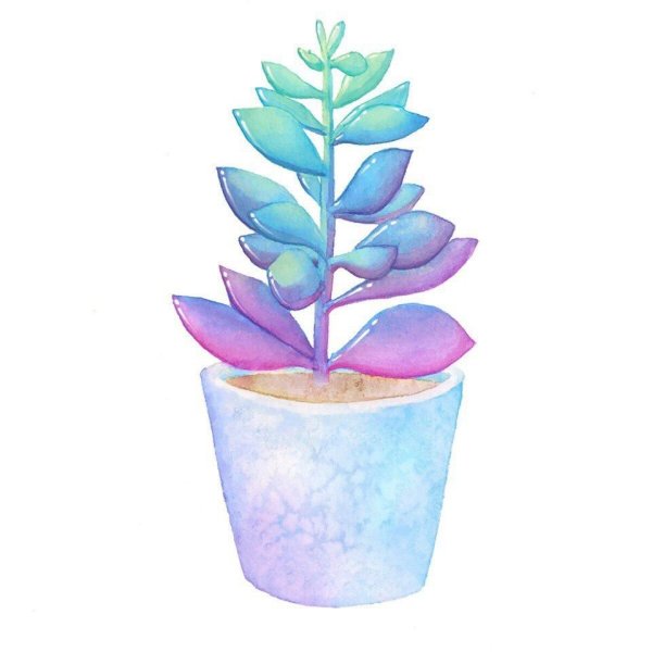 Мишка с цветами