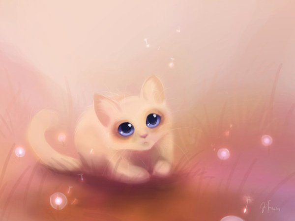 Милые котики рисунки для срисовки