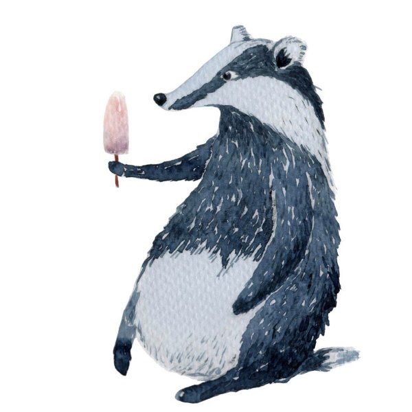 Барсук рисунок