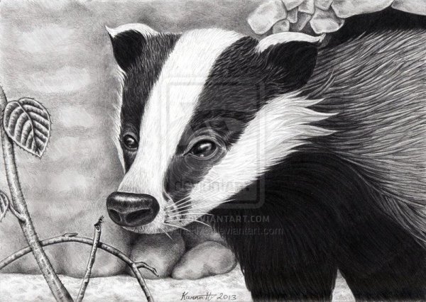 Медоед мультяшный