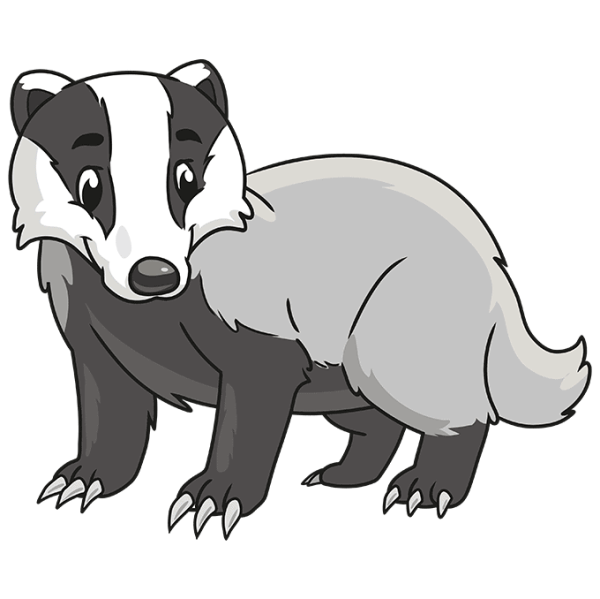 Барсук иллюстрация