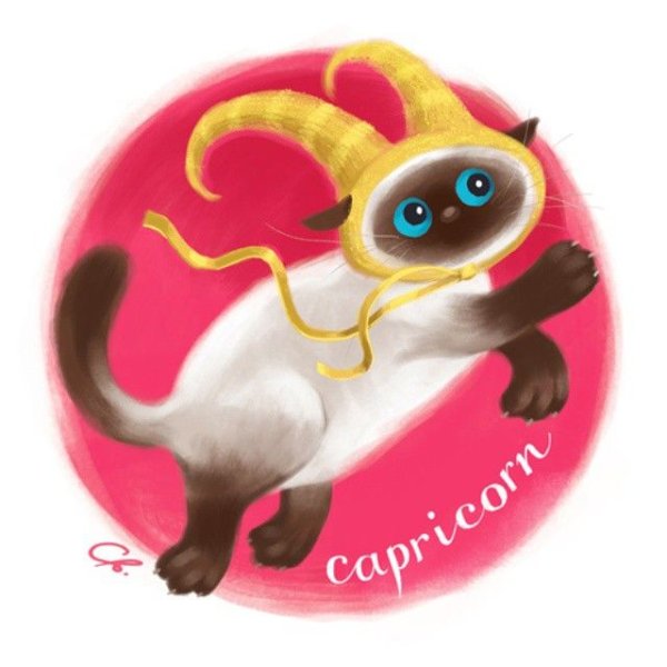 Кот Козерог