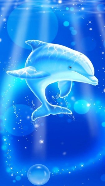 Дельфины арт