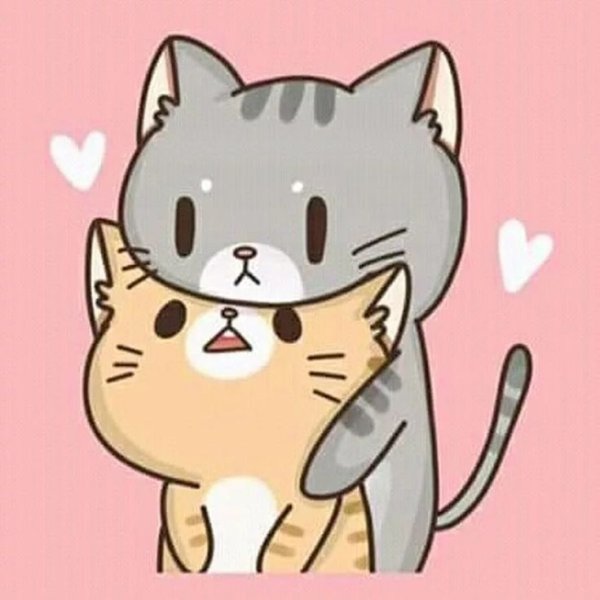 Кавайные котики