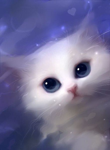 Раскраска кошечка