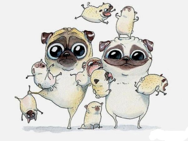 Доброе утро семья