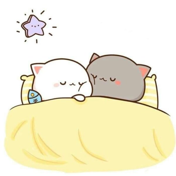 Кавайные котики любовь